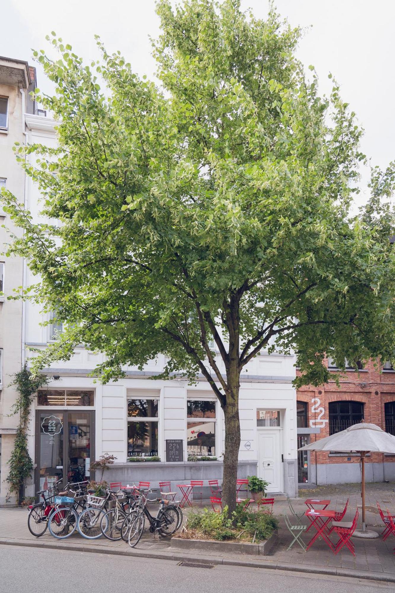 22B&B Antwerpen Eksteriør billede